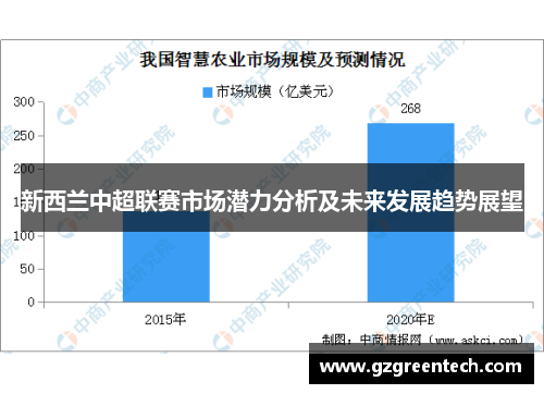 新西兰中超联赛市场潜力分析及未来发展趋势展望