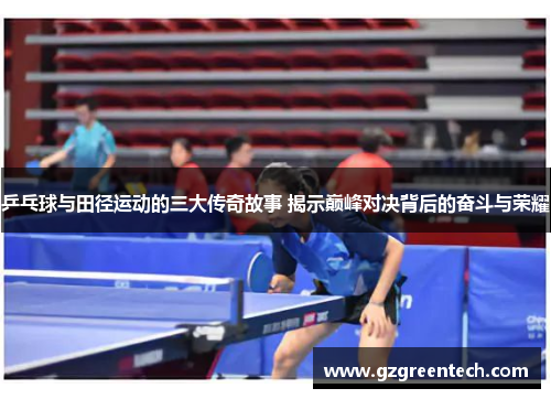 乒乓球与田径运动的三大传奇故事 揭示巅峰对决背后的奋斗与荣耀