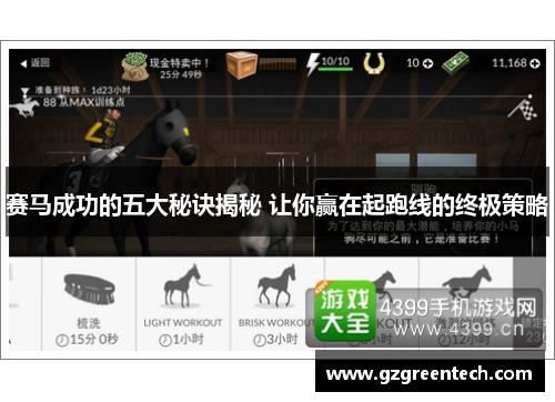 赛马成功的五大秘诀揭秘 让你赢在起跑线的终极策略