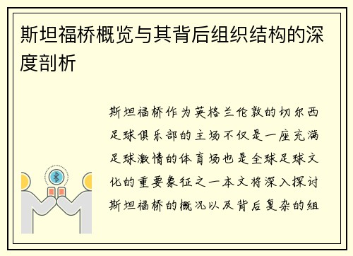 斯坦福桥概览与其背后组织结构的深度剖析